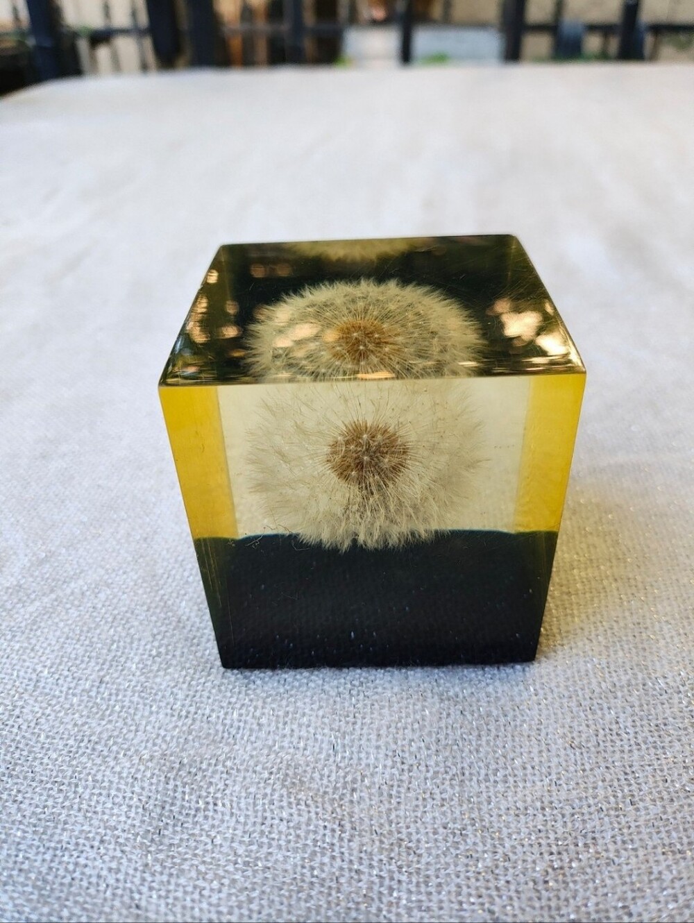 Vintage 1960s  MCM Dandelion Resin Art Paperweight